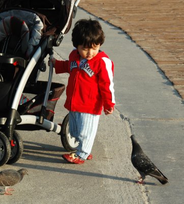 Little boy reaching to the pigeons.