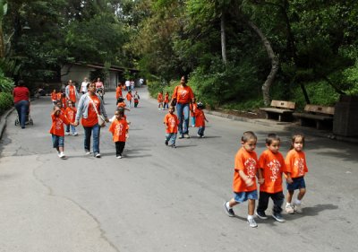 School children visiting zoo.