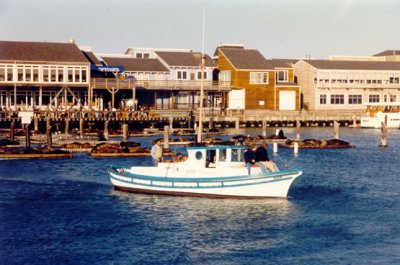 Blue Seal