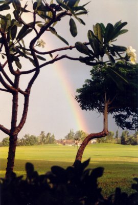 Kauai Rainbow