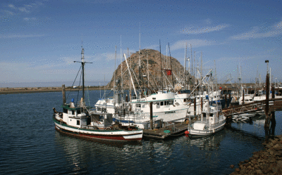 Morro Harbor