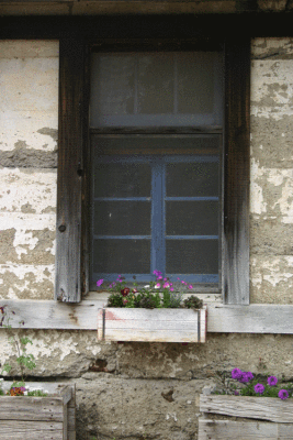 Window Dressing