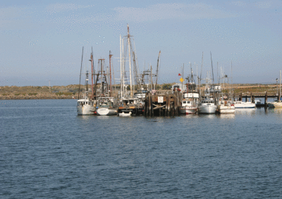 A fistful of boats