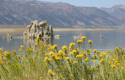 Mono Lake
