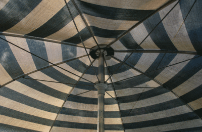 Umbrella