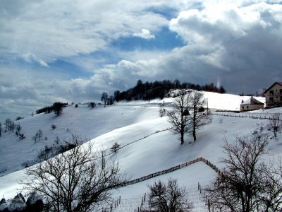 Tara Mountain