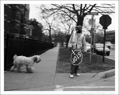 crossing guard  dog 2a.jpg