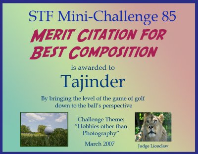 Merit Citation composition.jpg