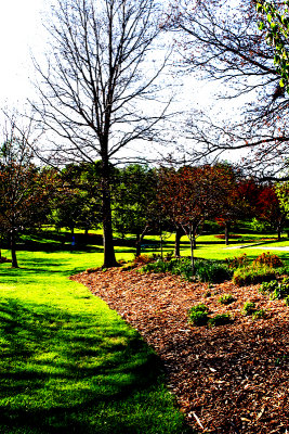 Watson Park