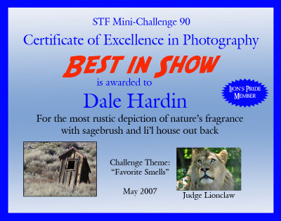 Dale 1st.jpg