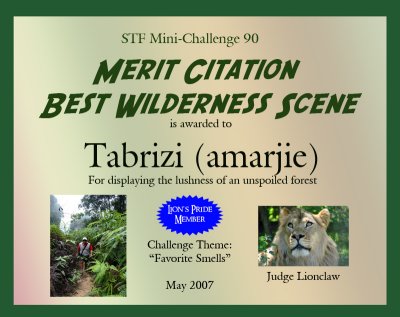 Tabrizi.jpg