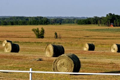 Hay bales by Clinton Lake