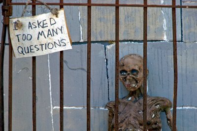 Too many questions.jpg