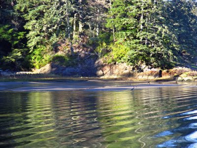 Fort Canby State Park