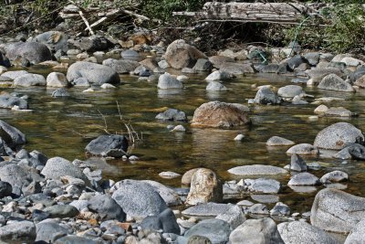 Denny Creek