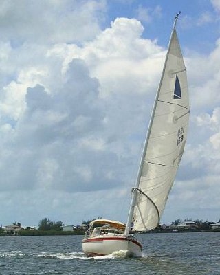 WHISKERS   30C   159    in a good breeze