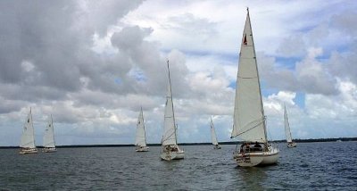 the fleet upwind in light air