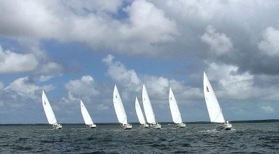 7 boat fleet beating in a breeze