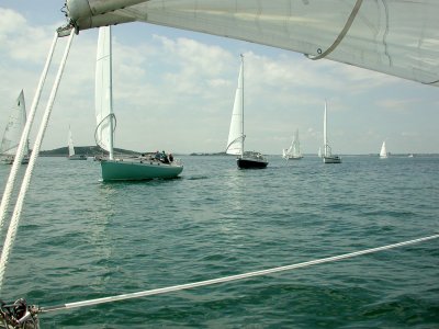 BEARCAT 30C 82 & SESAME 30U 351