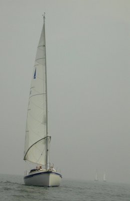 g6/48/747248/3/75318313.TN9vKWrh.jpg