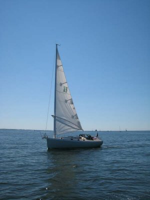 g6/48/747248/3/87167371.9UWv5fao.jpg