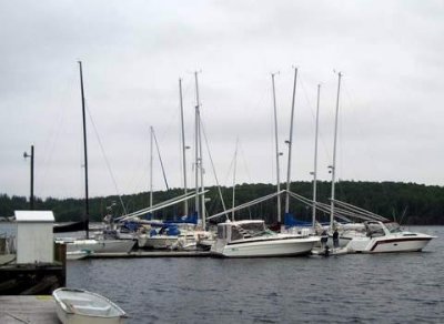 boats on the LYC west docks
