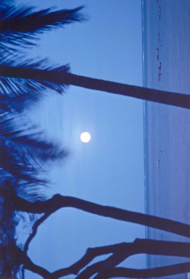 mombassa moon.jpg