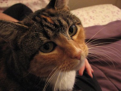 Random Photos