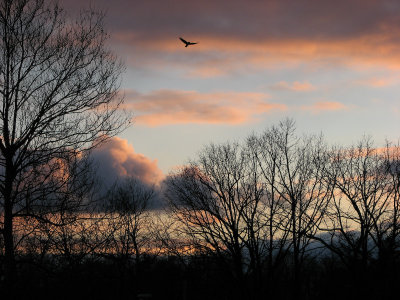 Random Photos
