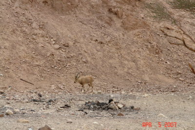 red canyon tiyul