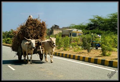 Rural Modes of Transportation