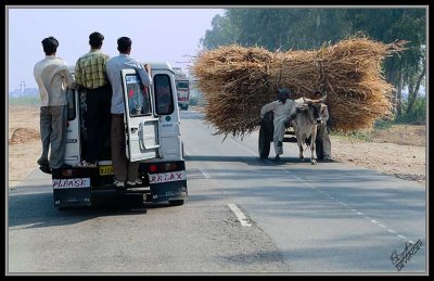 Jeep & bullock Cart 5280