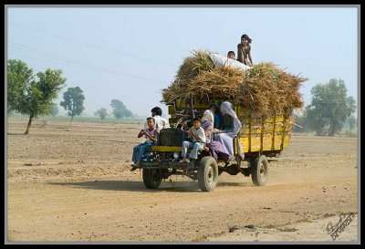  Desi Truck 5281