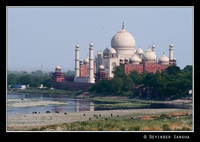 Taj Mahal Far Away