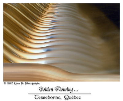 Golden Flowing ...