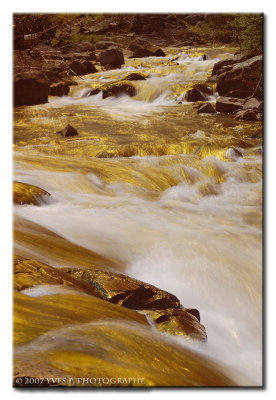 Golden river ...