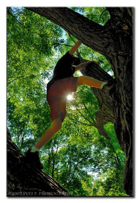 Tree Climber ...