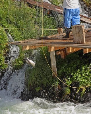 Platform Fishing at Sherar Falls