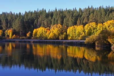 Aspen Camp, Deschutes River, Bend