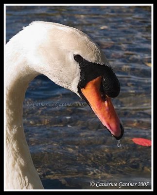 g6/49/351449/3/87161436.WZ0AoBf2.jpg