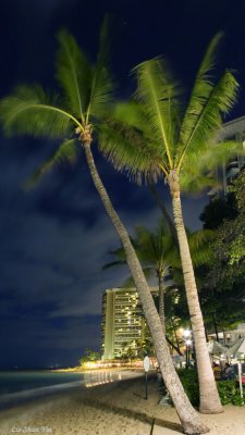 Waikiki Beach