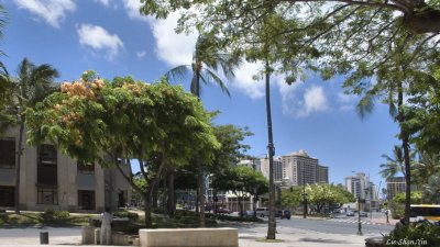 Kalakaua Ave