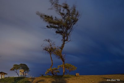 Kauai 可愛島