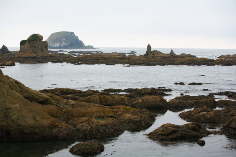 DPP_00030.jpg