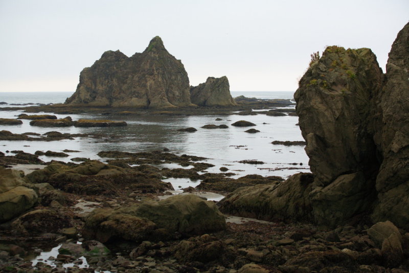 DPP_00031.jpg