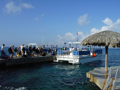 g6/49/396049/3/71945919.zklpAtqQ.jpg