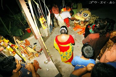 the lions paying respect to the deities