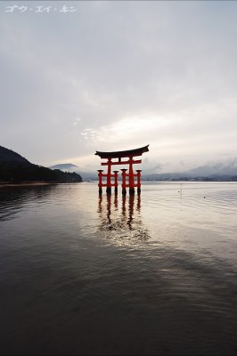 Torii Gate