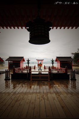 Looking out from Shrine Hall