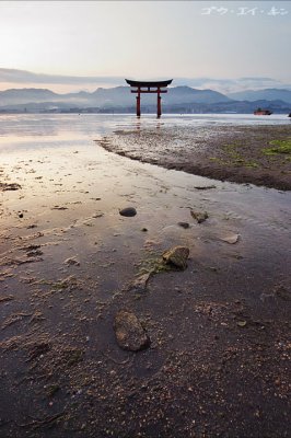 Torii Gate